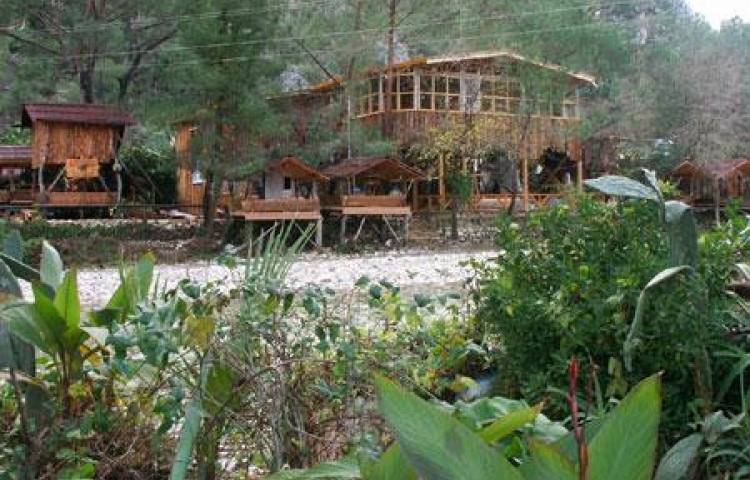 TURKMEN TREE HOUSES