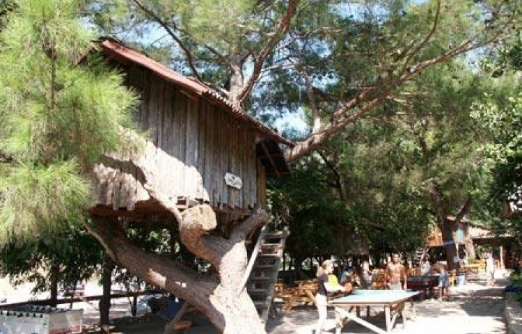 TURKMEN TREE HOUSES