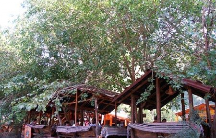 TURKMEN TREE HOUSES