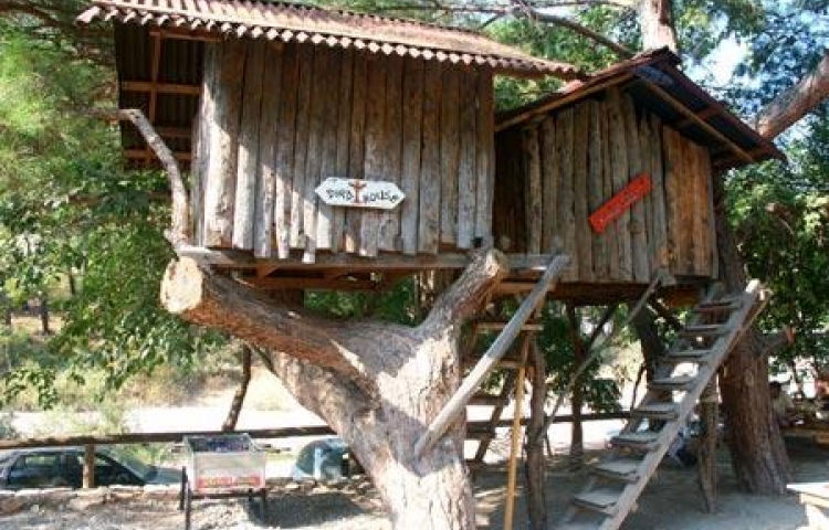 TURKMEN TREE HOUSES